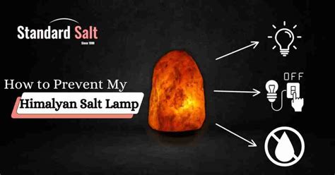 how to stop salt lamp from leaking|How to Stop Salt Lamp From Leaking